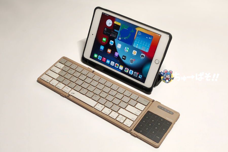 iPad mini4(旧モデルですみません)との設置イメージ