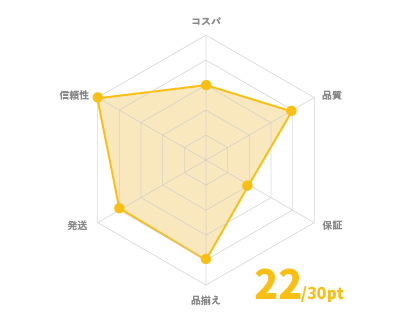 加賀マイクロソリューション 22/30pt