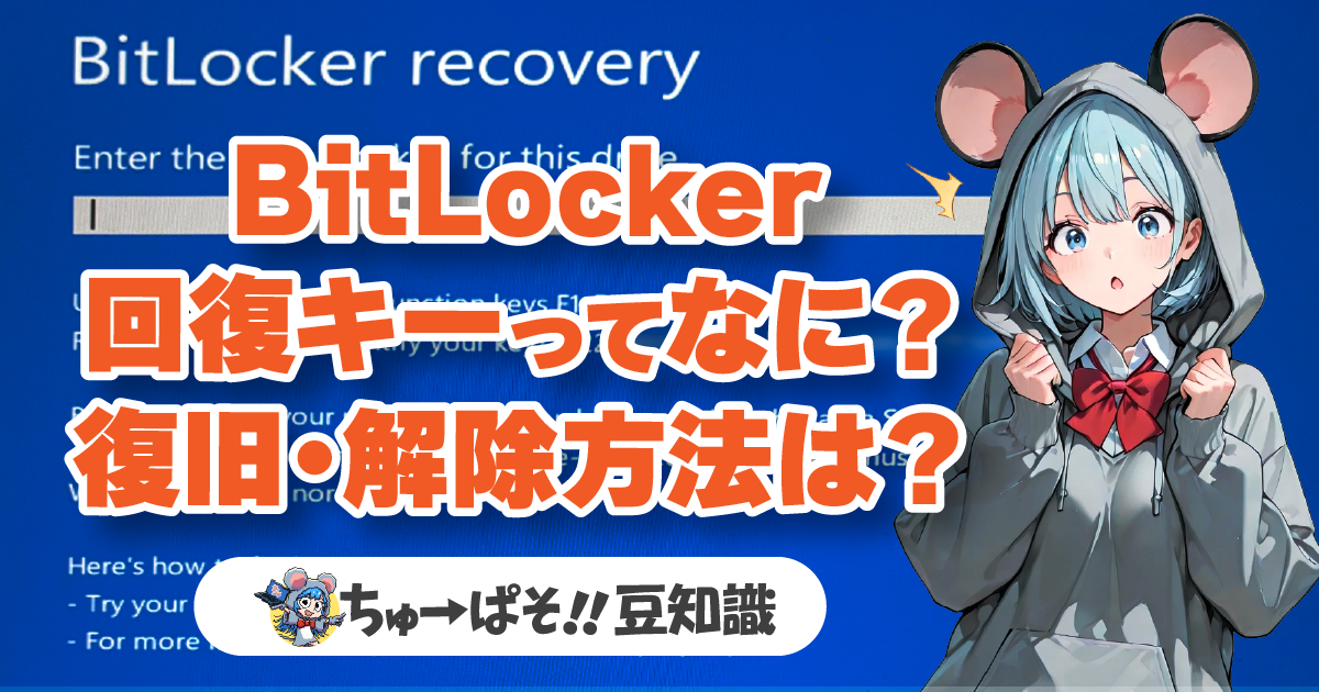 BitLocker回復キーって何？復旧方法・解除方法を解説します！